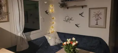 a living room with a couch and a vase of flowers at Mobile Home climatisé 2 chambres Port La Nouvelle in Port-la-Nouvelle
