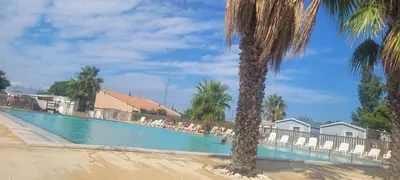 a palm tree next to a large swimming pool at Mobile Home climatisé 2 chambres Port La Nouvelle in Port-la-Nouvelle