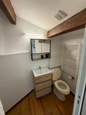 a small bathroom with a toilet and a sink at Petite maison in Castelnau-dʼAude