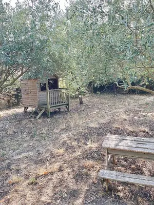 a wooden bench next to a dog house in a field at Suites zen dans maison d'hôtes avec piscine intérieure et jardin in Ventenac-Cabardès