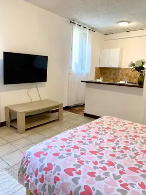 a room with a bed and a tv and a kitchen at Studio Carcassonne Hyper Centre in Carcassonne