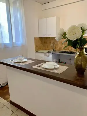 a kitchen with a counter with a vase of flowers at Studio Carcassonne Hyper Centre in Carcassonne