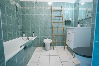 a bathroom with a toilet and a ladder in it at Charmant T2 au pied de la Cité de Carcassonne- AL in Carcassonne
