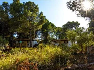 a field of tall grass with trees and a rv at Mobil-home avec Terrasse à Lézignan-Corbières, 6 personnes - API-1-52-736 in Lézignan-Corbières