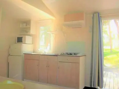 a kitchen with a white refrigerator and a microwave at Mobil-home avec Terrasse à Lézignan-Corbières, 6 personnes - API-1-52-736 in Lézignan-Corbières