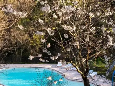a tree with white flowers next to a swimming pool at Tente Toile & Bois - 2 Chambres, Terrasse - API-1-52-789 in Fenouillet