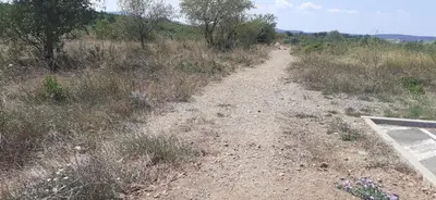a dirt road in the middle of a field at Chambre d'hôtes in Sigean