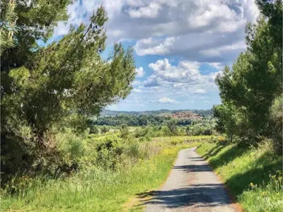 a dirt road with trees on both sides at Cottage in Montbrun-des-Corbières in Montbrun-des-Corbières