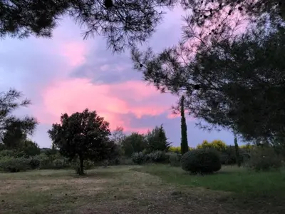a sunset in a field with trees and bushes at Cottage in Montbrun-des-Corbières in Montbrun-des-Corbières