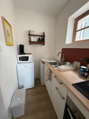 a small kitchen with a sink and a refrigerator at Le Capucin Terrace Hypercentre in Castres