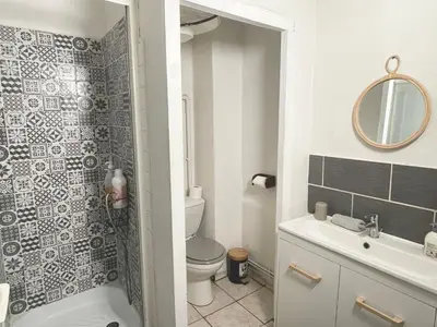 a bathroom with a toilet and a sink and a mirror at Appartements hyper Centre in Carcassonne