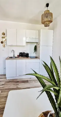 a kitchen with white cabinets and a potted plant at N2 Barbacane-Pieds Cité-Bohème Chic-Clim Mobile in Carcassonne