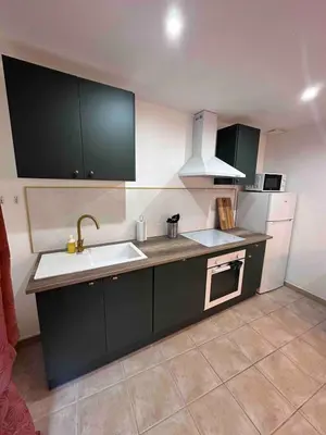 a kitchen with green cabinets and a sink at House Patio Air Conditioning Elegant Decoration in Carcassonne
