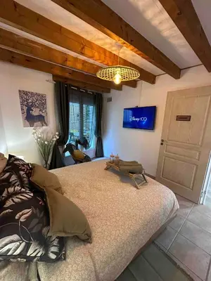 a bedroom with a large bed and a tv at House Patio Air Conditioning Elegant Decoration in Carcassonne