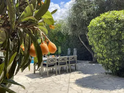 a table and chairs with oranges hanging from a tree at Villa in Saint-Couat with Private Pool in Saint-Couat-dʼAude