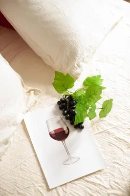 a glass of wine and a plant on a bed at Qualys Vignoble parking, square view, close to city in Carcassonne