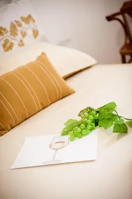 a white card with a bunch of green grapes on a bed at Qualys Vignoble parking, square view, close to city in Carcassonne