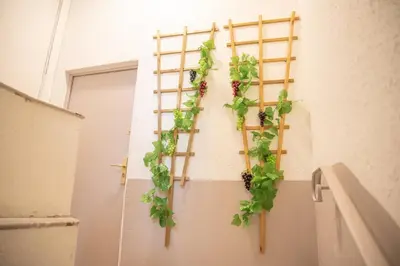 a vertical plant rack with ivy on a wall at Qualys Vignoble parking, square view, close to city in Carcassonne