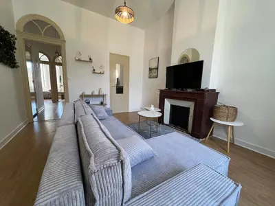 a living room with a couch and a tv at L'Excellence, Joli T3 Bourgeois in Carcassonne