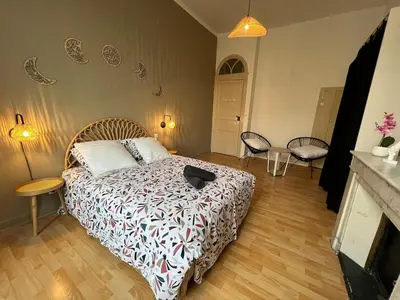 a bedroom with a bed in a room at L'Excellence, Joli T3 Bourgeois in Carcassonne