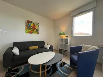 a living room with a couch and a table at Le Parc! T3 climatisé, Parking, Piscine in Carcassonne