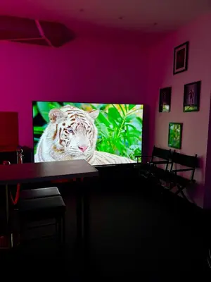 a television with a picture of a white tiger on it at LOVE IN CINÉ Appartement cinéma balnéo in Pamiers