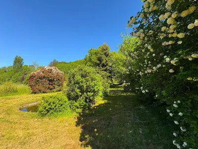 a garden with bushes and flowers on a hill at L'Eau Vive Villa 6 pers parc 3000m2 à 50 m de la rivière in Fraisse-sur-Agout