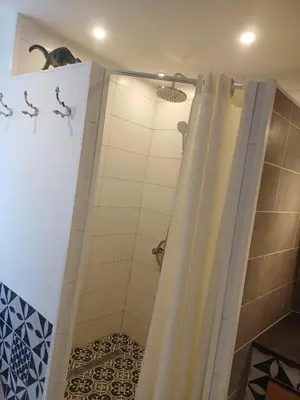 a bathroom with a shower with a cat sitting on the wall at Chez Pet and Jo in Olargues