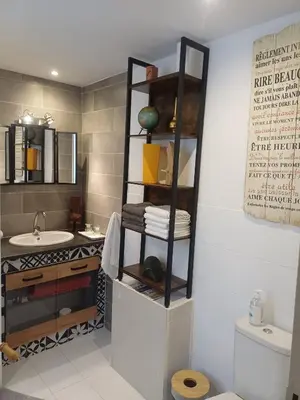 a bathroom with a sink and a shelf with towels at Chez Pet and Jo in Olargues
