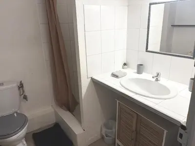 a bathroom with a sink and a toilet and a mirror at Appartement 2 Chambres in Carcassonne