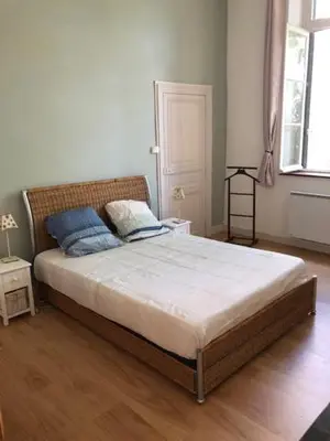 a bedroom with a large bed in a room at Tranquille et chaleureux in Carcassonne