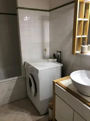 a bathroom with a washing machine and a sink at Tranquille et chaleureux in Carcassonne