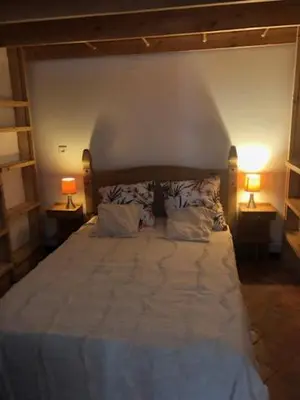 a bedroom with a large bed with two lamps at Tranquille et chaleureux in Carcassonne