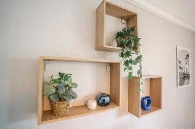 a shelf with plants and vases on a wall at Parking Sécurisé -Climatisé-Piscine-Terrasse-AM in Carcassonne