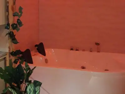 a bath tub in a bathroom with a mirror at Mobil-home avec Terrasse Accueillant 6 Pers - API-1-52-631 in Sournia