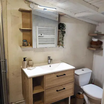 a bathroom with a sink and a toilet at Chalet atypique in Anglès