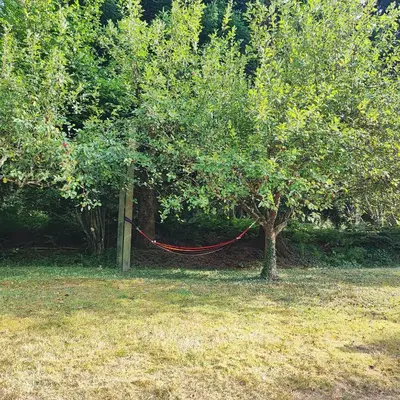 a red rope tied to a tree in a field at Chalet atypique in Anglès