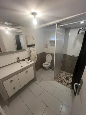a bathroom with a shower and a sink and a toilet at T2 apartment, terrasse cours intérieur in Narbonne