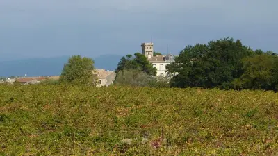 a white house on top of a hill with trees at l'Ecrit Vin in Rustiques
