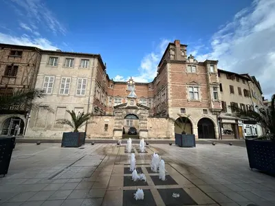 a large building with white pigeons in front of it at Appartement au calme commerces à proximité in Castres