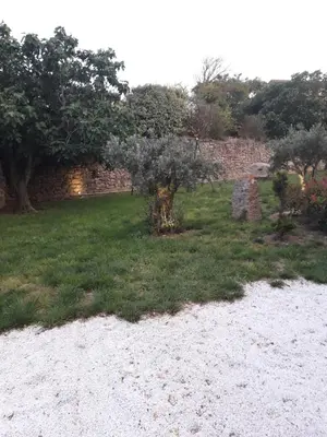 a tree in a field with a stone wall at Domaine Fontgrande Gîte in Carcassonne