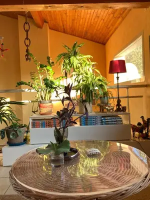 a room with a table with plants on it at Belle vue avec piscine sécurisée in Sainte-Camelle