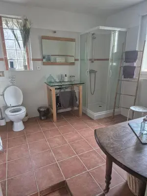a bathroom with a toilet and a sink and a shower at La Maison de Pierre in Manses