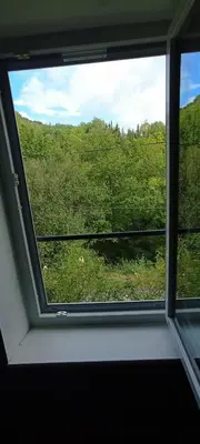 a window with a view of a field of trees at Chambres d'hôtes Las Carbounieros