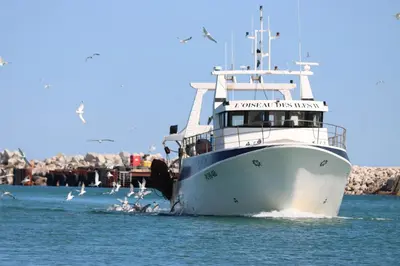a boat in the water with birds flying around it at Authentic fisherman's house Maison de pêcheur authentique in Port-la-Nouvelle