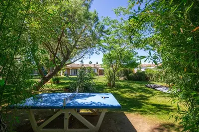 a picnic table in the middle of a yard with trees at villa la combe blanche - toboggan aquatique privée in Pépieux