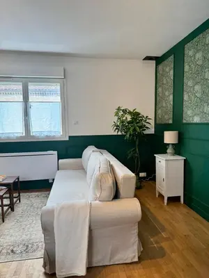 a living room with a white couch and green walls at Le Mahuzies 6 - Hypercentre in Castres