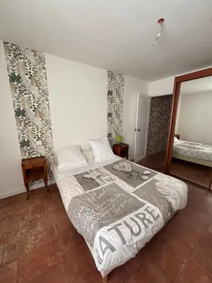 a bedroom with a bed and a mirror at maison Odjas in Saint-Laurent-de-la-Cabrerisse
