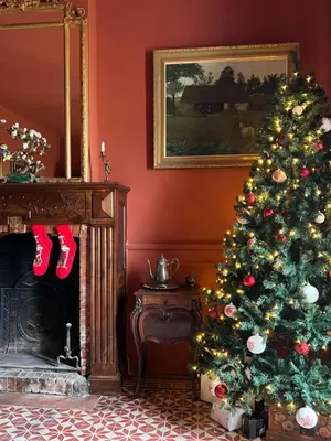 a christmas tree in a room with a fireplace at Château de L'Encastre in Revel