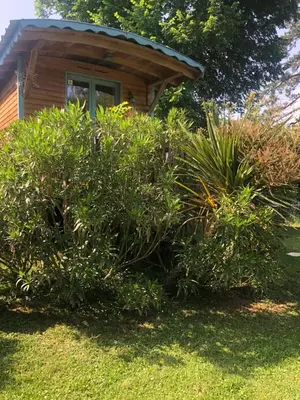 a group of plants in front of a house at La Bastide De Negra in Montesquieu-Lauragais